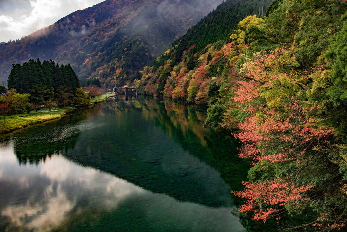紅葉した自然の写真