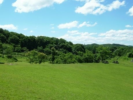 休暇村 帝釈峡の景色
