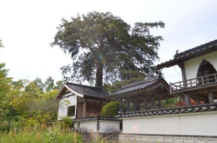 永明寺