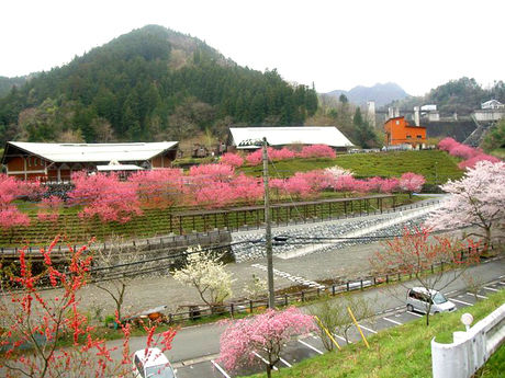 秩父の風景