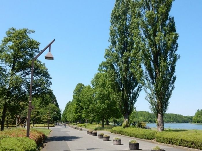 水本公園内の写真