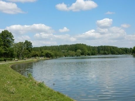 水元公園内にある池の写真
