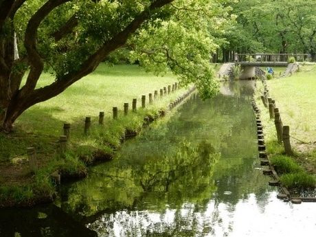 水元公園内にある溜池の写真
