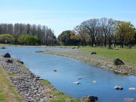 水元公園内に流れている川の写真