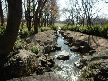 水元公園に流れる小川の写真
