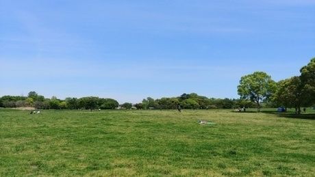 水元公園のバーベキュー広場の写真