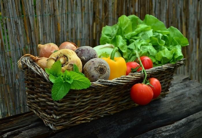 色とりどりの野菜の写真