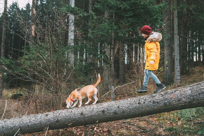 ダウンジャケットを着て犬を散歩している少年