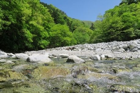 綺麗な川と山の写真