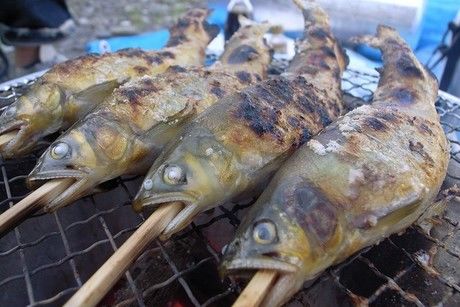 鮎の塩焼き