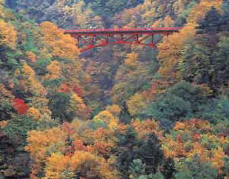 紅葉と橋