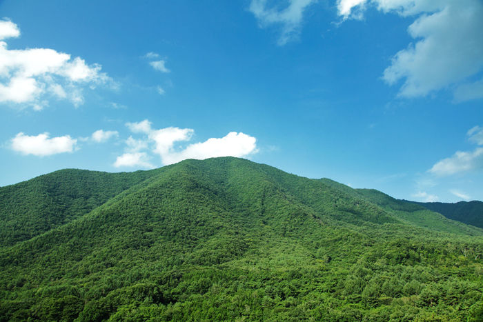 緑豊かな自然がある山