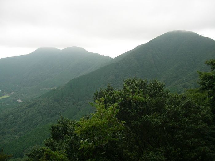 霧がかった緑の山