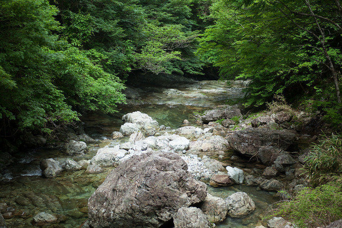 山の中に流れる川