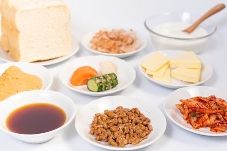 たくさんの発酵食品