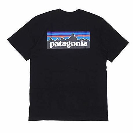 パタゴニアのロゴTシャツ