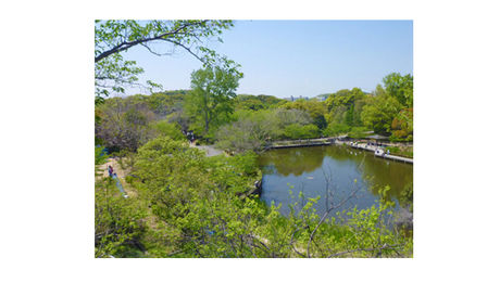 兵庫県神戸市の奥須磨公園