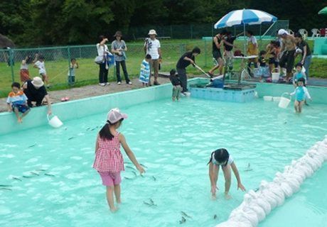 子供がプールでマスを掴み取りして遊んでいる様子