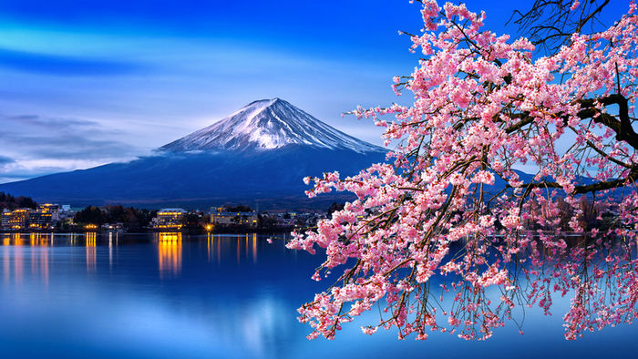 富士山と湖と桜