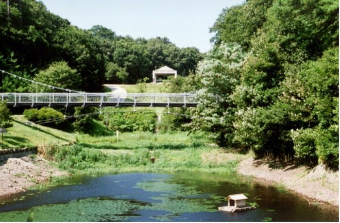 早島町ふれあいの森公園の池と橋の写真