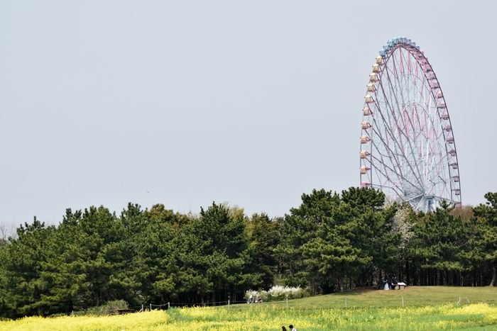 葛西臨海公園の観覧車