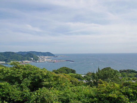 葉山マリーナの景色