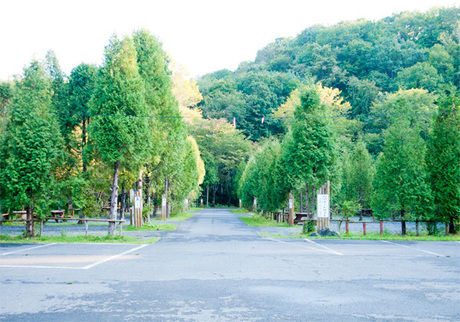 穂別キャンプ場の様子