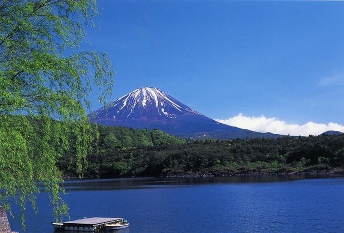 西湖と富士山