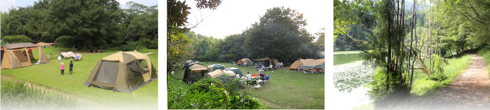 池の山キャンプ場のテントサイト