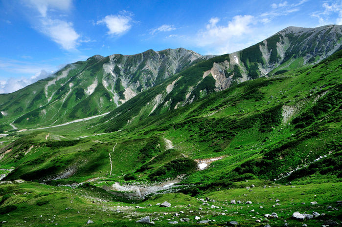綺麗な緑の山の写真