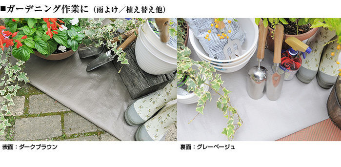 中薄のシート