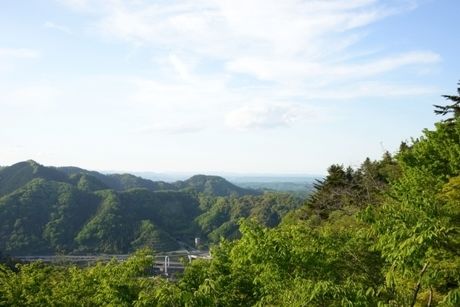 高尾山の様子