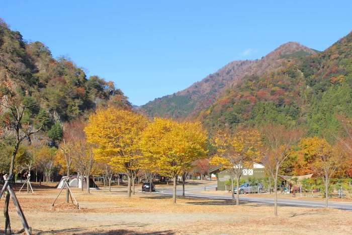 青川峡キャンピングパークの様子