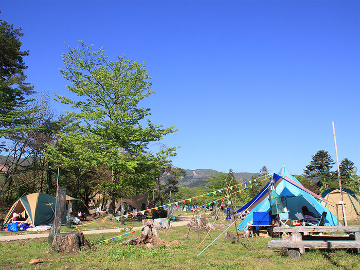 神鍋高原キャンプ場のキャンプ場のキャンプ風景
