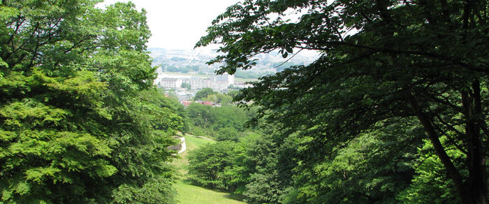八王子長沼公園