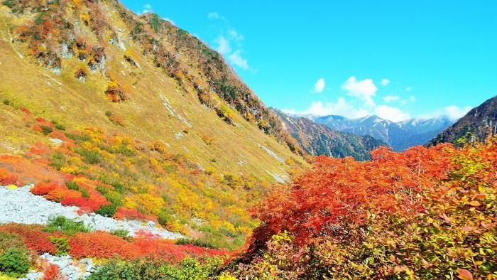 涸沢ヒュッテの紅葉