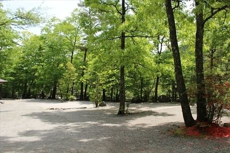 篠沢大滝キャンプ場のサイトの様子