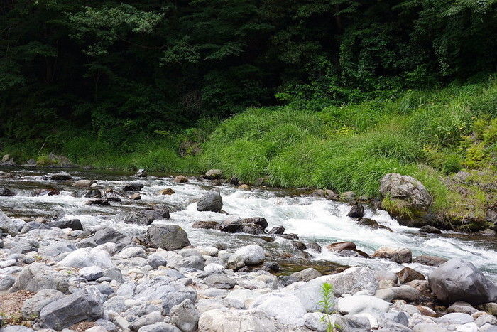 氷川キャンプ場の川