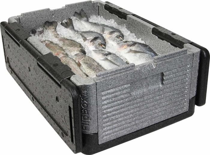 フリップボックスに魚が入っている様子