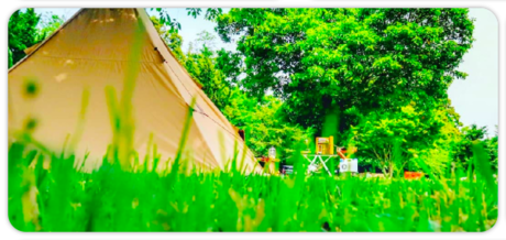 成田ゆめ牧場でキャンプしよう 女性や家族連れに人気の理由に迫る キャンプ アウトドア情報メディアhinata