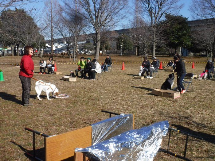 舎人 公園 ドッグラン