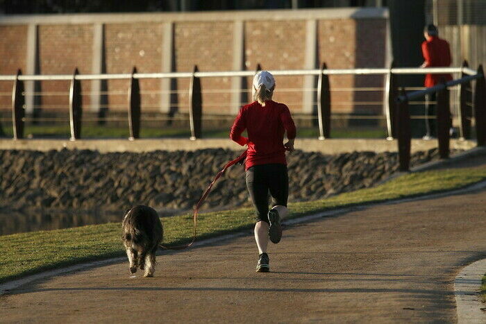 犬と一緒にランニングしている女性の画像