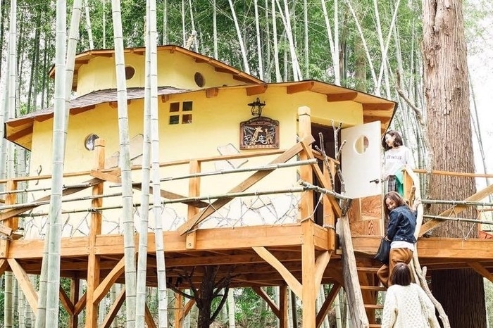 THE BAMBOO FORESTのツリーハウス