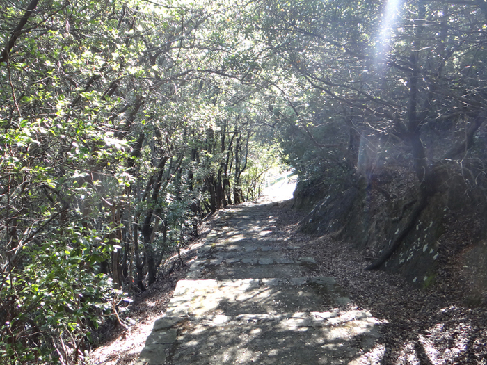 休暇村 南淡路
