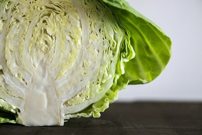 半分に切ったキャベツの断面