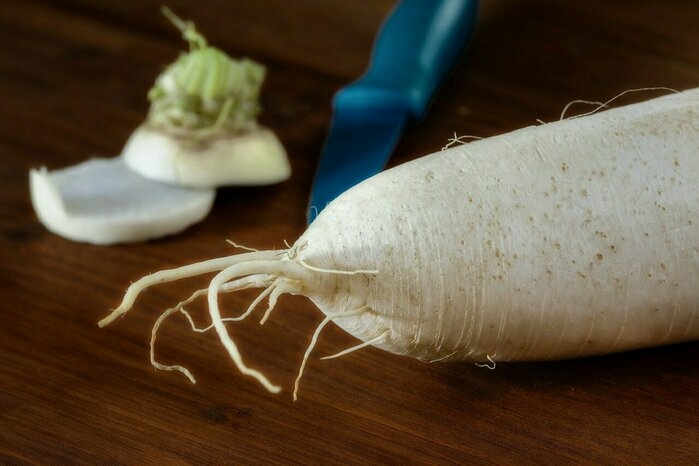 大根の下部