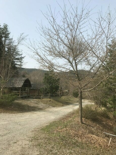 上毛高原キャンプグランド