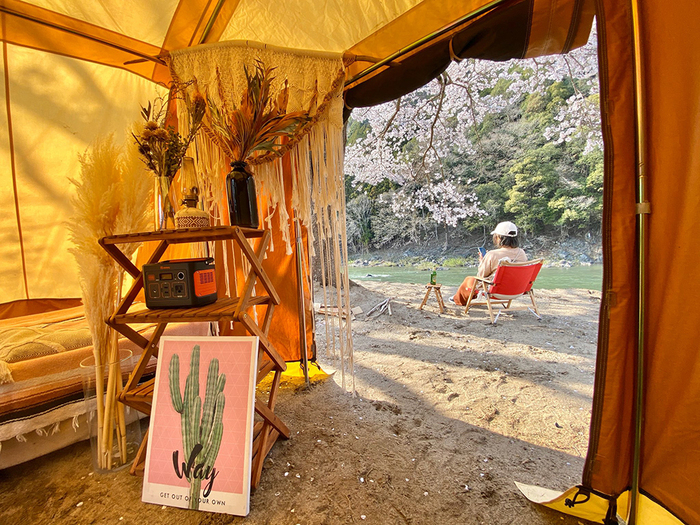 桜キャンプを楽しむ様子