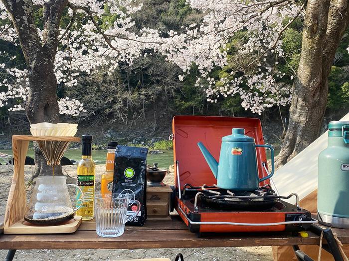 桜キャンプを楽しむ様子