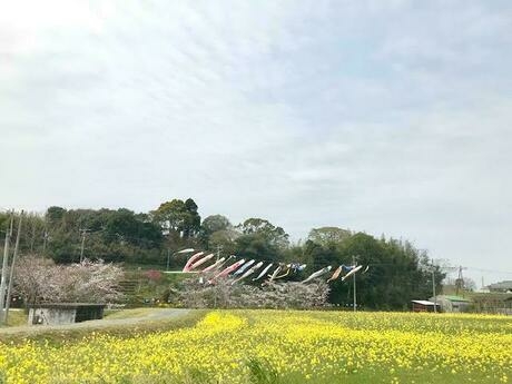 休暇村 南淡路